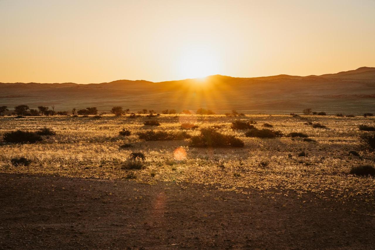 The Desert Grace Solitaire Kültér fotó